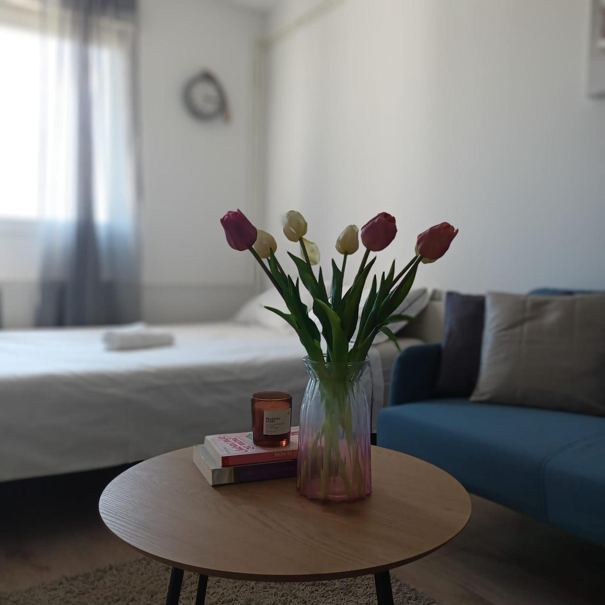 Modern Studio Near City Center Zagreb Bagian luar foto